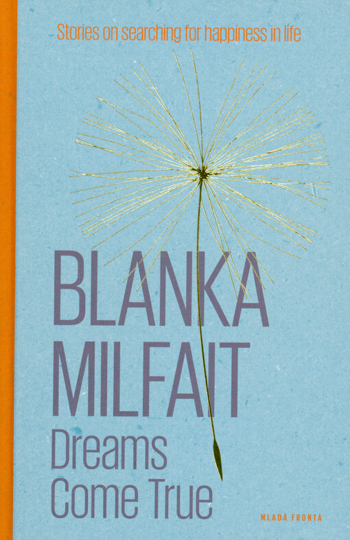 Dreams come true : stories on searching for happiness in life