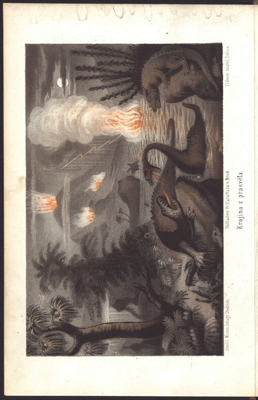 Divy prasvěta: prostonárodní vypsání dějin stvoření a prvotného stavu země jakož i převratův a proměn povrchu její, rostlinstva a obyvatelstva až do času nynějšího