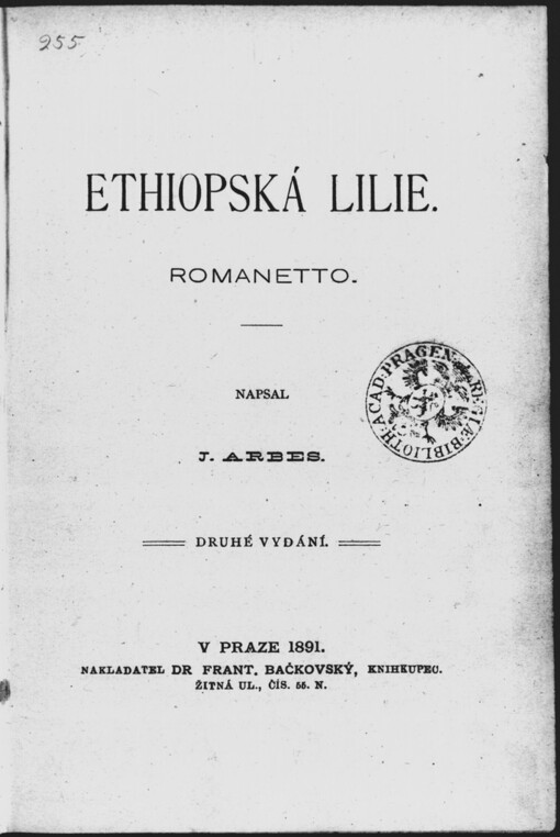 Ethiopská lilie :romanetto