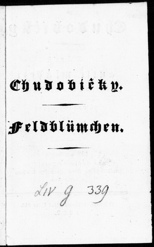 Feldblümchen: ein Geschenk für die Jugend