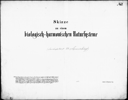 Skizze zu einem biologisch-harmonischen Natursysteme