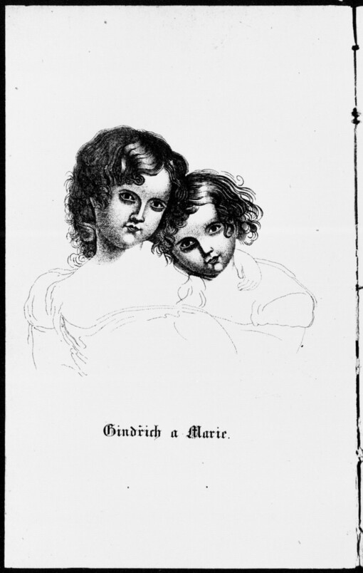Gindřich a Marie, aneb, Osiřelé djtky: pohnutliwá a ponaučná powjdka pro autlý wěk