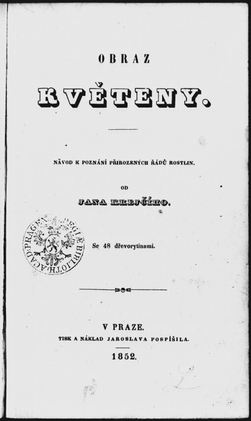 Obraz květeny