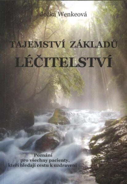 Tajemství základů léčitelství: poznání pro všechny pacienty, kteří hledají cestu uzdravení