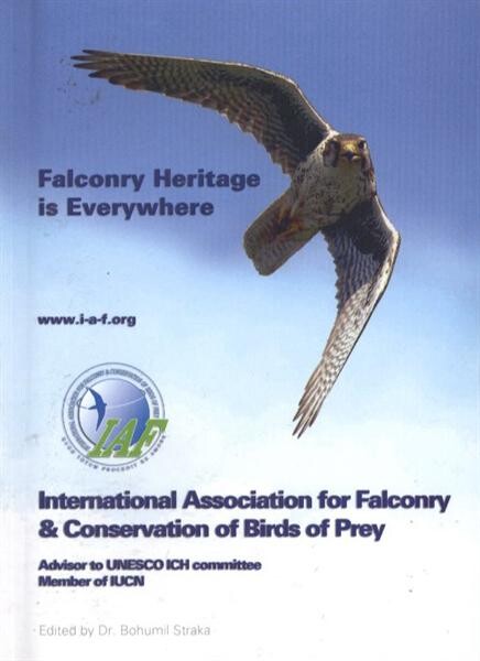 Falconry heritage is everywhere