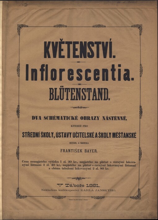 Květenství: Inflorescentia = Blütenstand : dva schématické obrazy nástěnné, ...