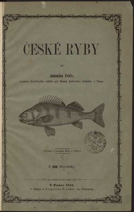 České ryby