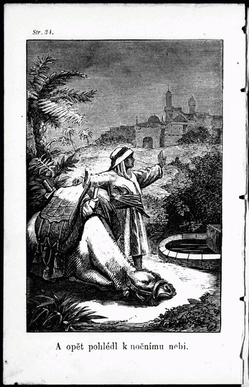 Poslední honba na otroky v Sudanu: čtení pro mládež i dospělé