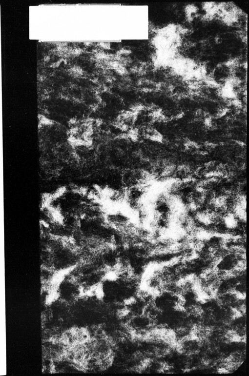 Vyrovnání s Uhry r. 1867 a 1877: napsal J. Kaizl, historickým úvodem opatřil Ant. Rezek