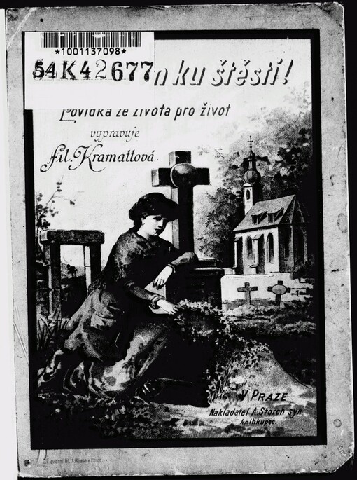 Utrpením ku štěstí :povídka ze života a pro život