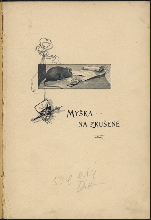 Myška na zkušené: pohádka pro děti