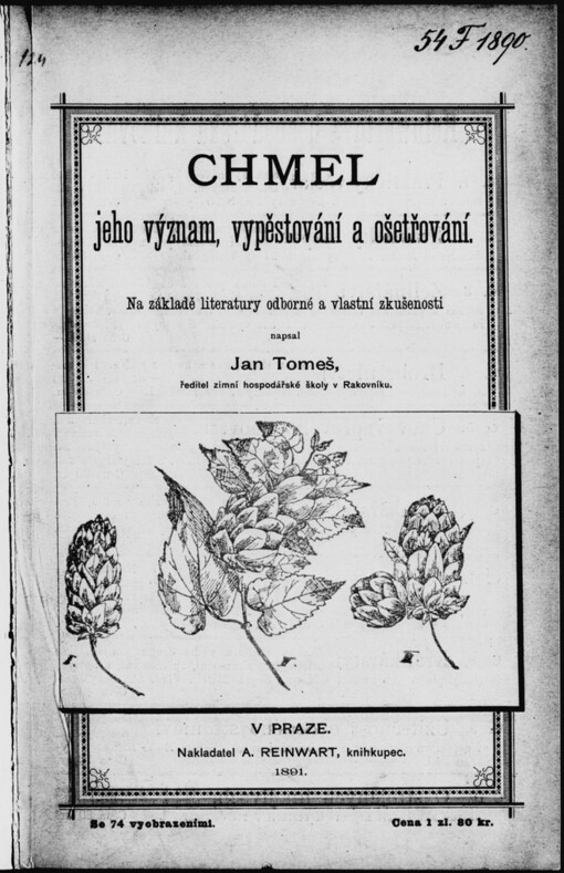 Chmel, jeho význam, vypěstování a ošetřování