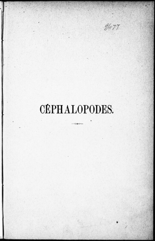 Céphalopodes: études générales