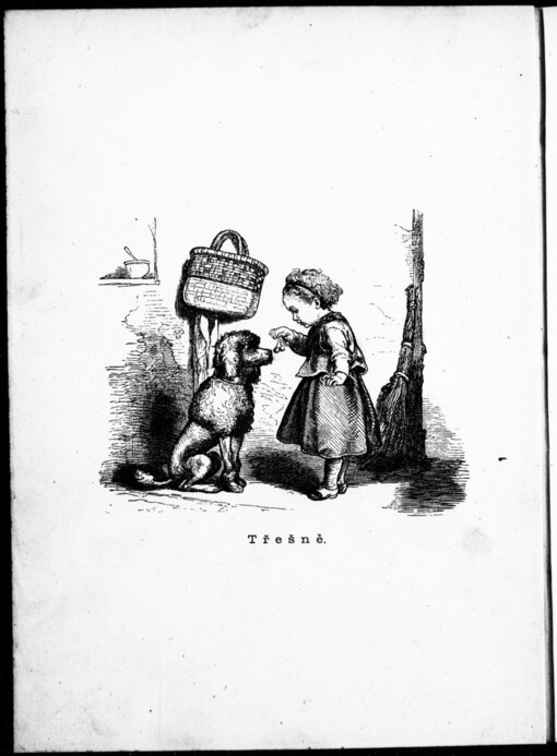 Záhonek malých: básničky prvnímu stupni mládeže : spolu zásoba k ústnímu přednášení