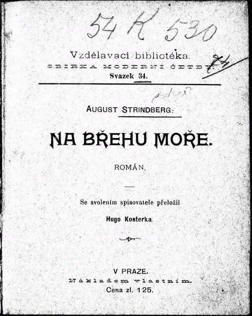Na břehu moře: román