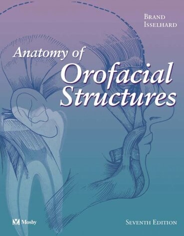 Anatomy of orofacial structures