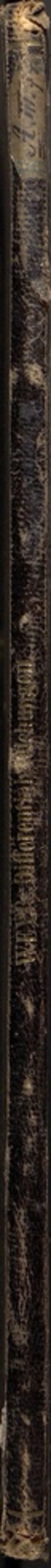 Zur Integration der Differentialgleichungen erster Ordnung