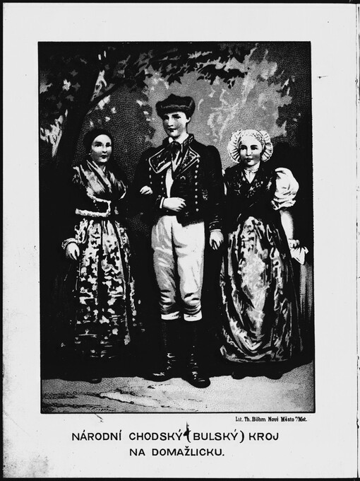 Chodové a jich osudy: historické pojednání pro náš bodrý lid v Pošumavsku