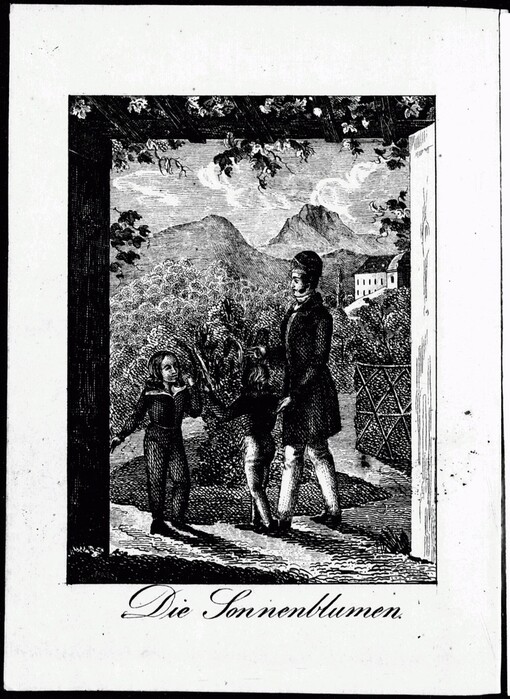 Sonnenblumen: kleine Lesegabe in Bildern für die Jugend