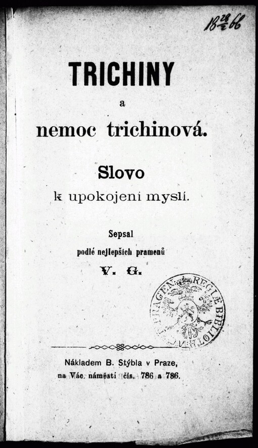 Trichiny a nemoc trichinová: slovo k upokojení mysli