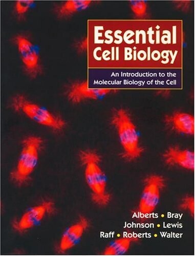 Essential cell biology : an introduction to the molecular biology of the cell