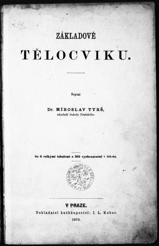 Základové tělocviku