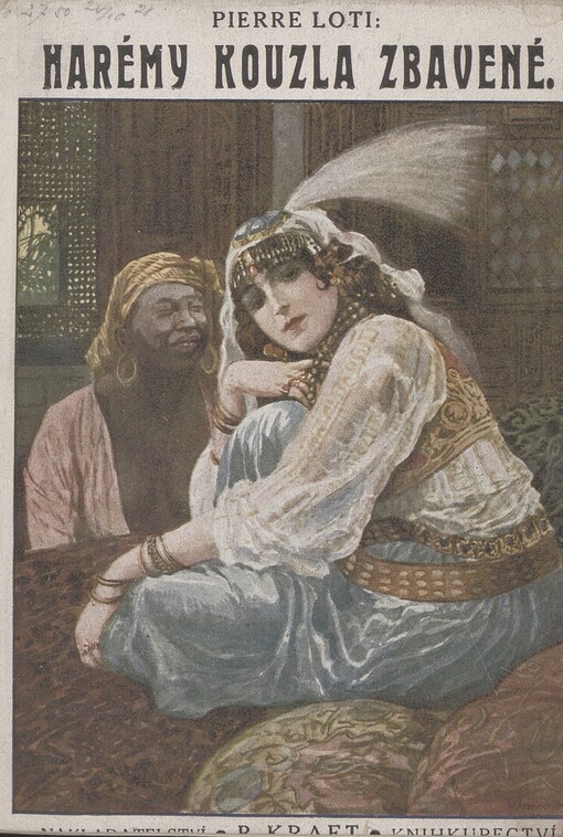 Harémy kouzla zbavené =(Les désenchantées) ; román ze současných tureckých harémů