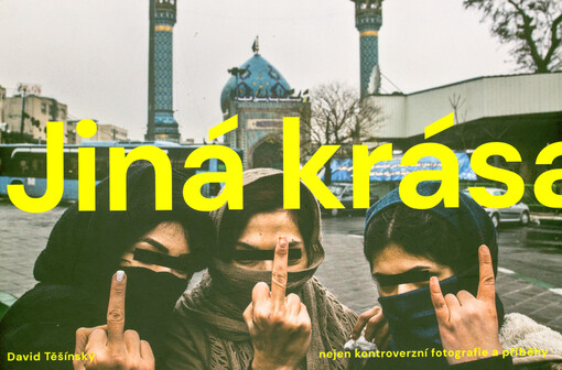 Jiná krása : nejen kontroverzní fotografie a příběhy