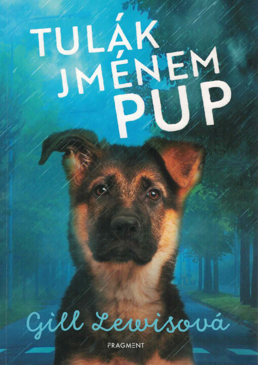 Tulák jménem Pup