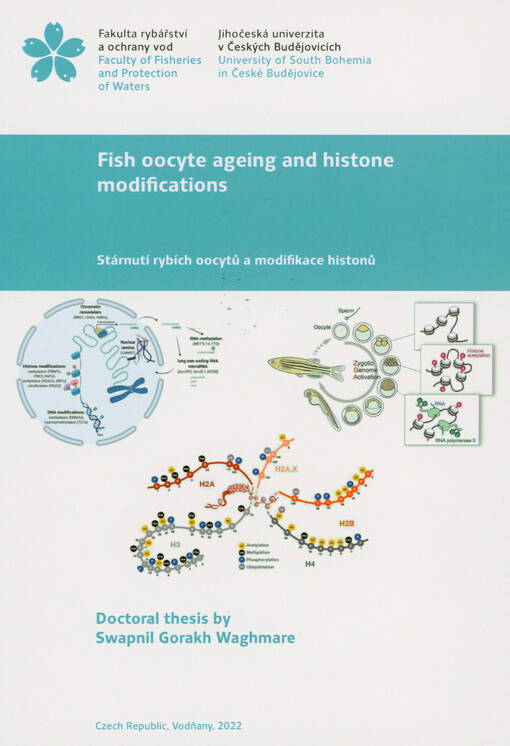 Fish oocyte ageing and histone modifications = Stárnutí rybích oocytů a modifikace histonů