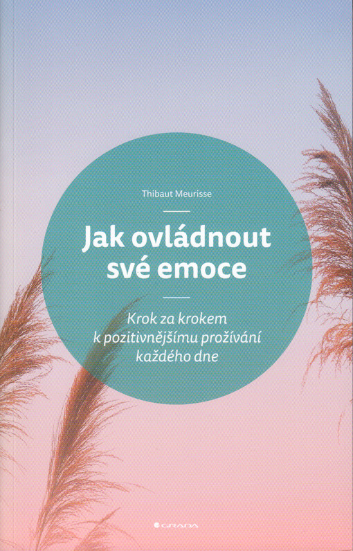 Jak ovládnout své emoce : krok za krokem k pozitivnějšímu prožívání každého dne