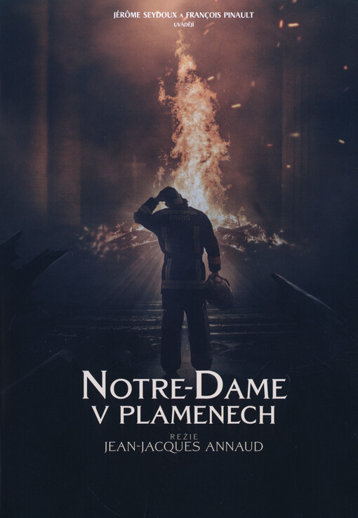 Notre-Dame v plamenech