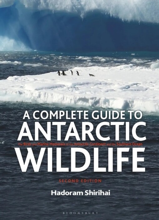 Antarctic Wildlife