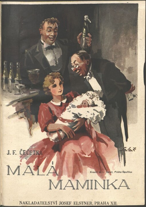 Malá maminka: zpověď mladé ženy o kotrmelcích vlastního života