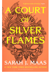 A court of silver flames  (odkaz v elektronickém katalogu)