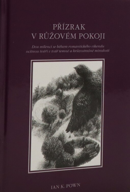 Přízrak v růžovém pokoji