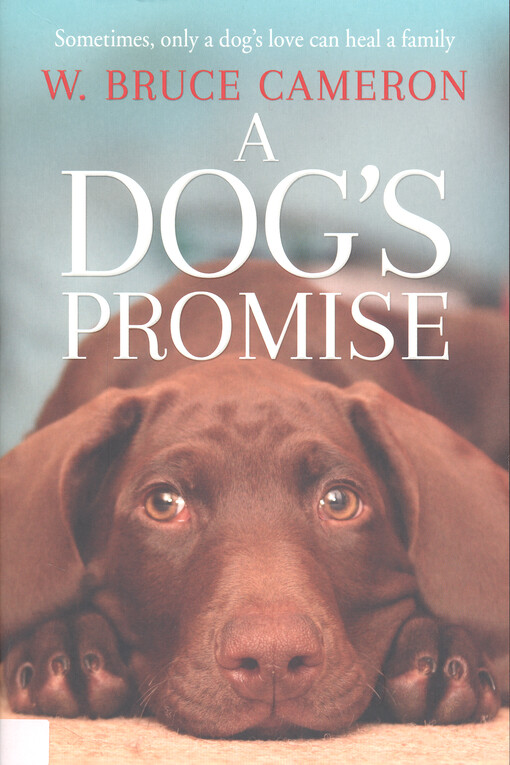 A dog's promise