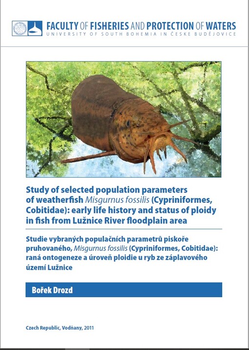 Study of selected population parameters of weatherfish Misgurnus fossilis (Cypriniformes, Cobitidae): early life history and status of ploidy in fish from Lužnice River floodplain area = Studie vybraných populačních parametrů piskoře pruhovaného, Misgurnus fossilis (Cypriniformes, Cobitidae): raná ontogeneze a úroveň ploidie u ryb ze záplavového území Lužnice