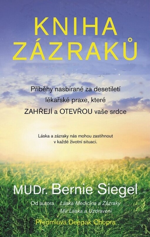 Kniha zázraků : příběhy nasbírané za desetiletí lékařské praxe, které zahřejí a otevřou vaše srdce