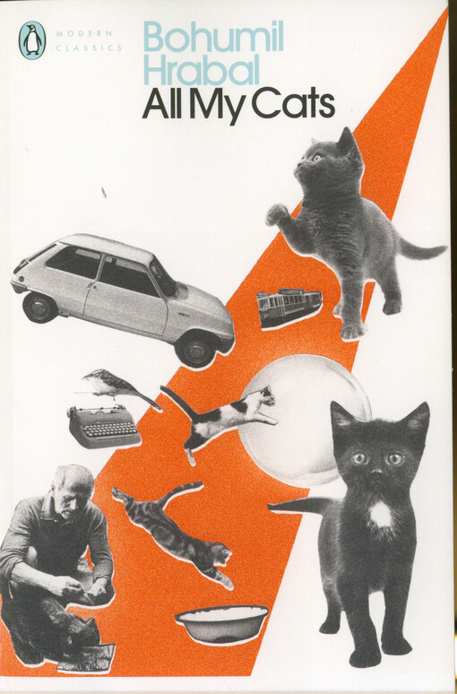 All my cats