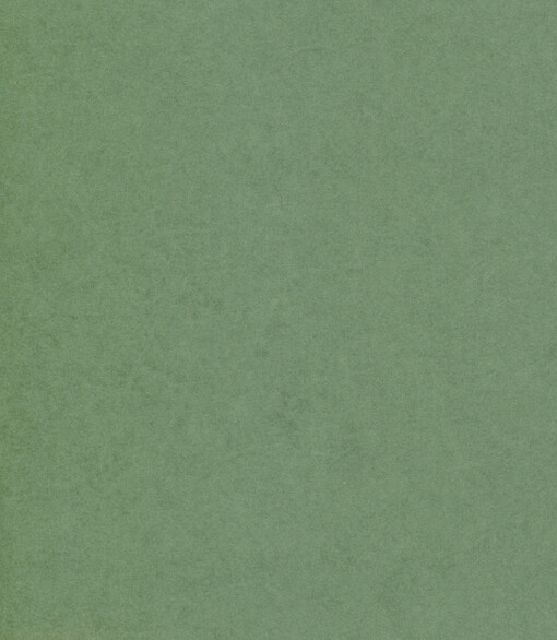 Gertrud Fusseneggerová (1912-2009) : sborník