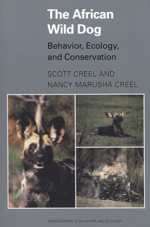 The African wild dog