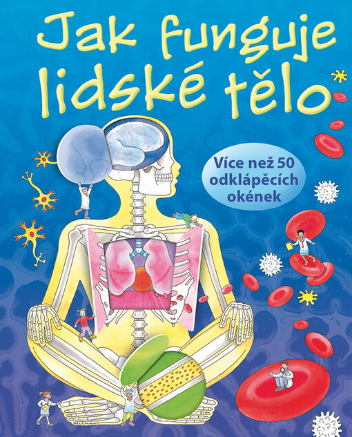 Jak funguje lidské tělo