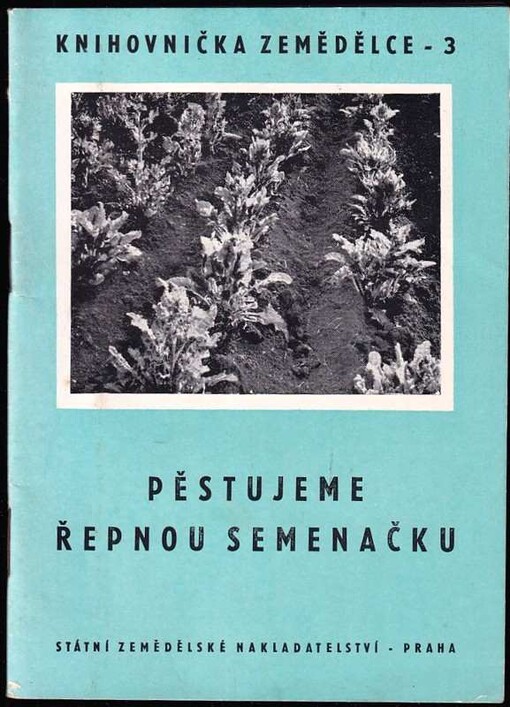 Pěstujeme řepnou semenačku