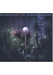 Entering The Woods (odkaz v elektronickém katalogu)