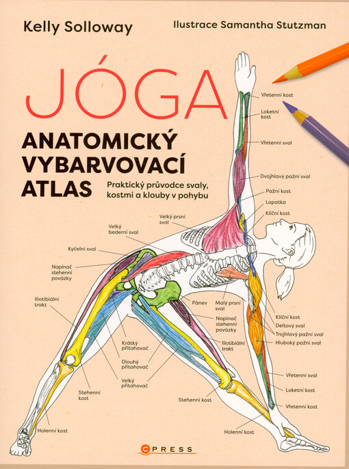 Jóga - anatomický vybarvovací atlas : praktický průvodce svaly, kostmi a klouby v pohybu
