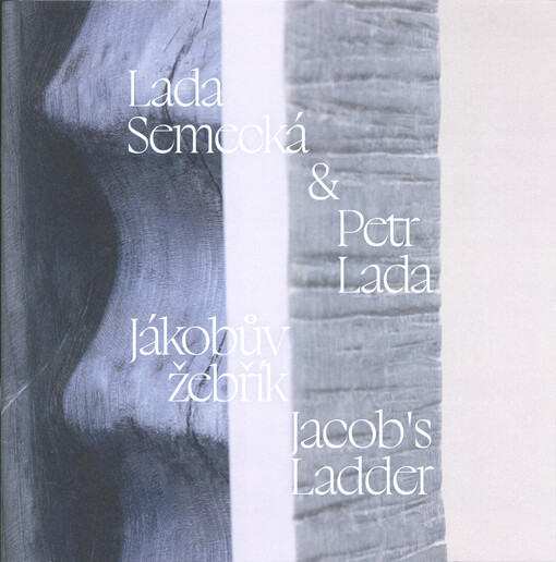 Lada Semecká & Petr Lada : Jákobův žebřík = Jacob's ladder : Galerie Havelka 2.-16.12.2021, 4.-20.1.2022