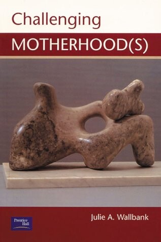 Challenging Motherhoods (New Sociologies)