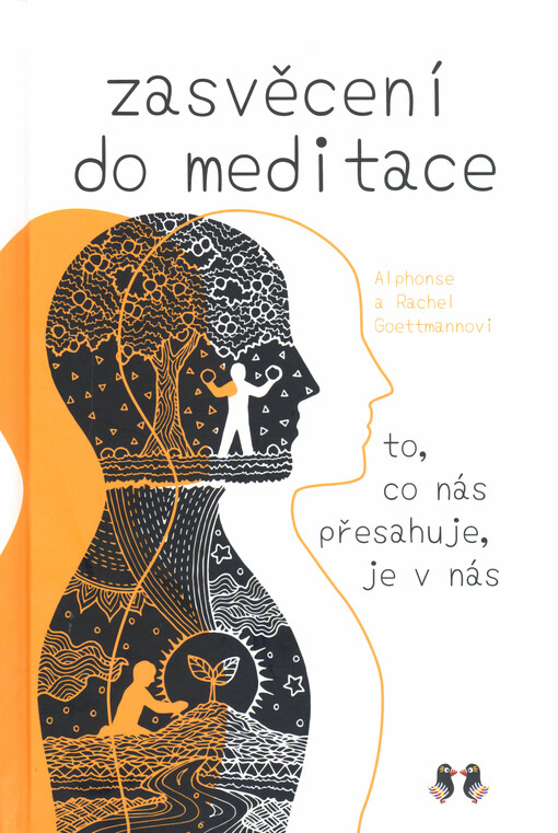 Zasvěcení do meditace : to, co nás přesahuje, je v nás