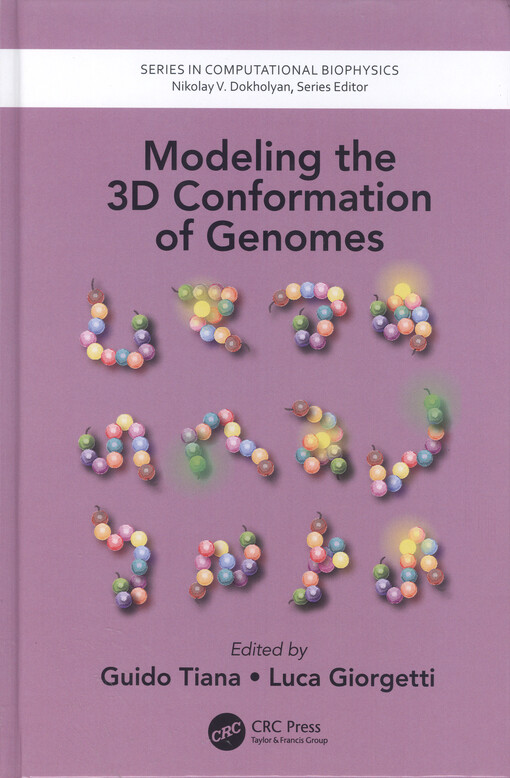 Modeling the 3D conformation of genomes